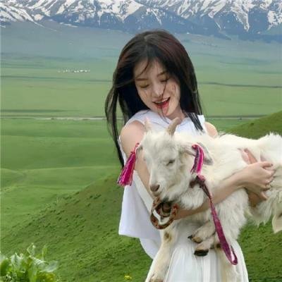 盗宝奇葩之猎肉杀身